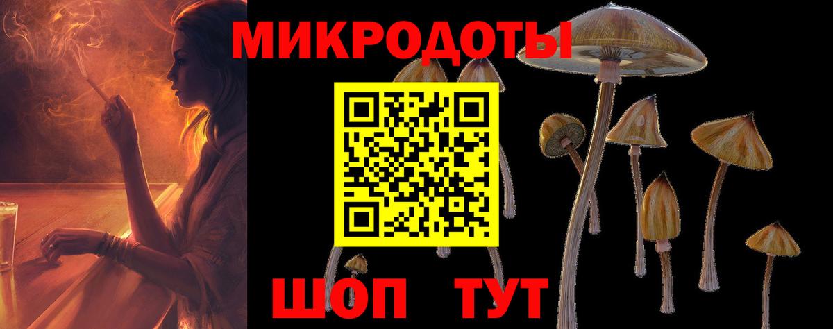 Псилоцибиновые грибы MAGIC MUSHROOMS  Вход с VPN  Коммунар 